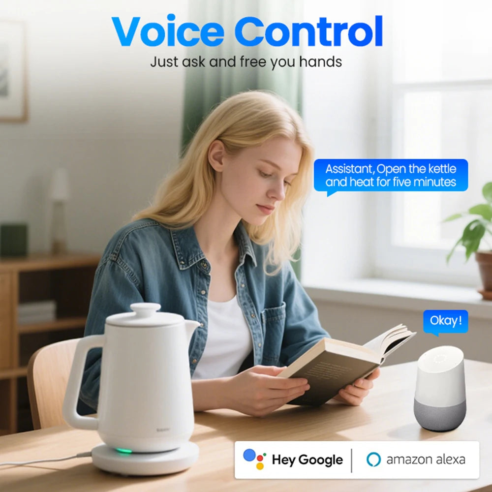 2-Tuya Smart Plug US Standard 10A/16A WiFi Outlet Works With Alexa Google Assistant APP Remote Control Timer Group Control for US