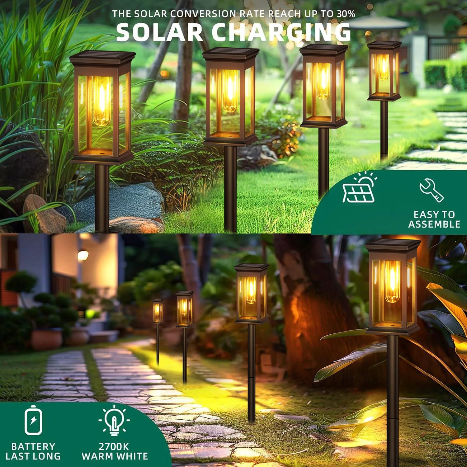 2, 6, and 12 pack options of the upgraded Solar Lights for yard and garden use
